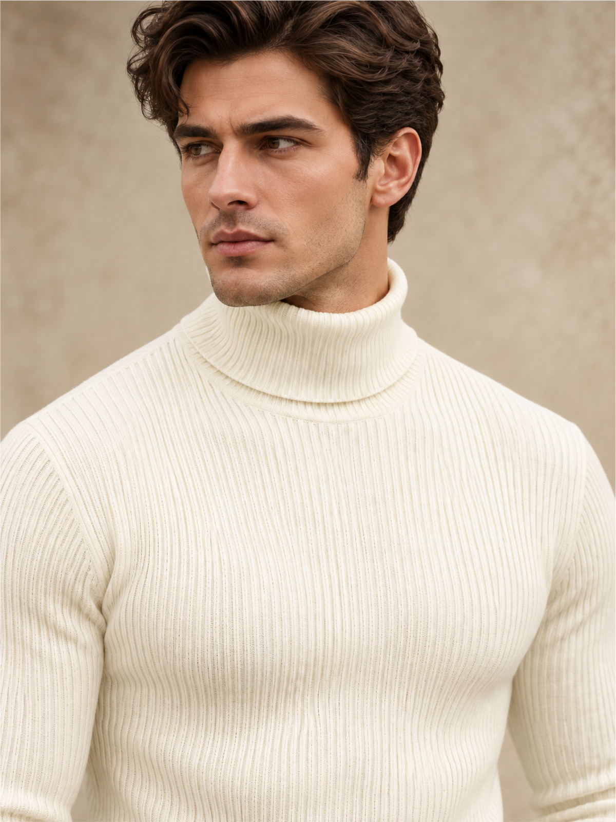 Comfort Turtle Neck Slim Fit Pullover