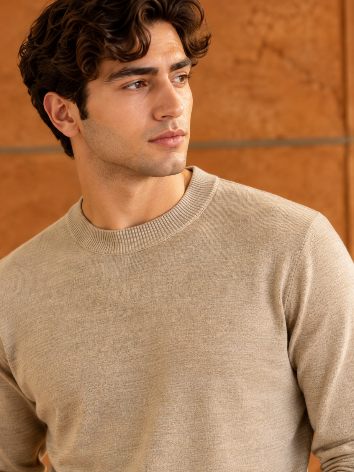 Refined Crew Neck Winter Pullover